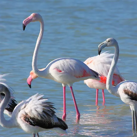 Mare Dentro Torre Grande