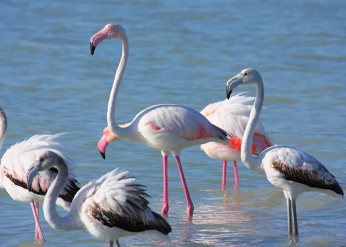 Mare Dentro Torre Grande